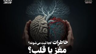پادکست | خاطرات کجا ثبت می شوند ؟ مغز یا قلب