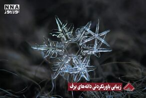 نورنما | زیبایی باورنکردنی دانه های برف +فیلم