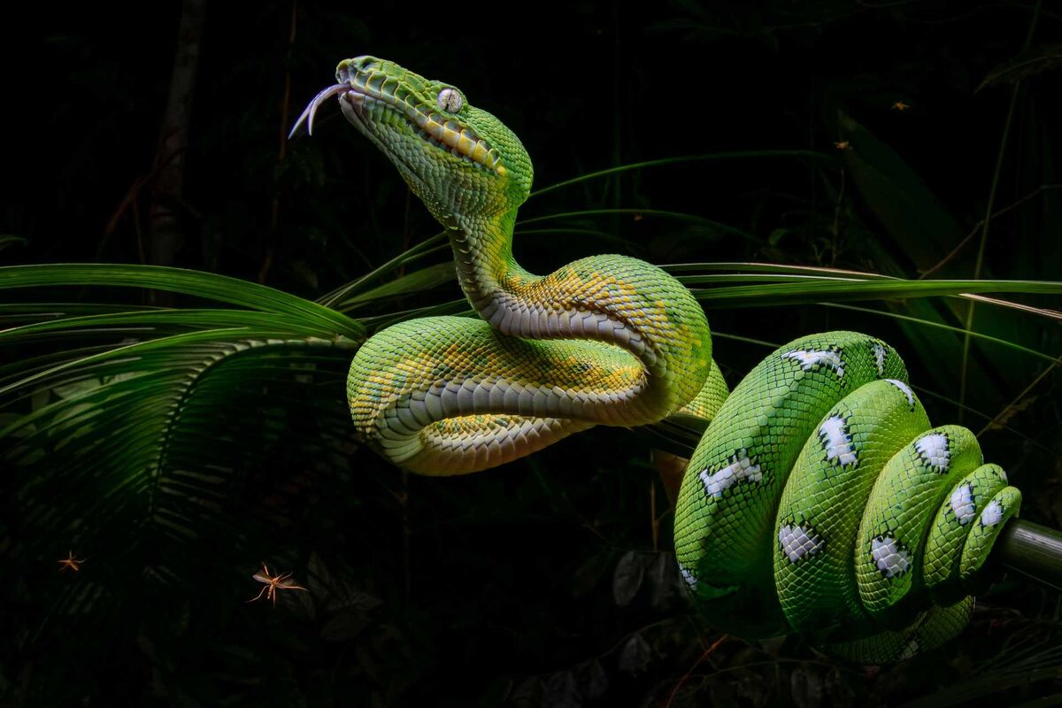 MzI2NmIHRYKw