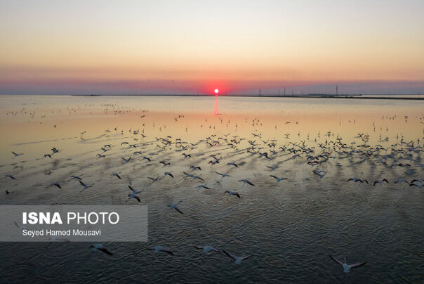 MzM5OGMU6xpz