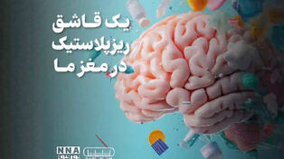پادکست | یک قاشق ریزپلاستیک در مغز ما