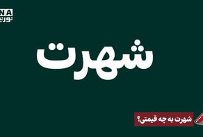 نورنما | شهرت به چه قیمتی!