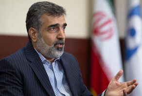 سخنگوی سازمان انرژی اتمی: زلزله‌ تاثیری بر تاسیسات نطنز نداشت