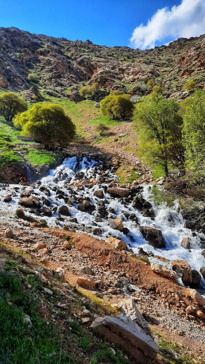 MzYyYzYaQHG9