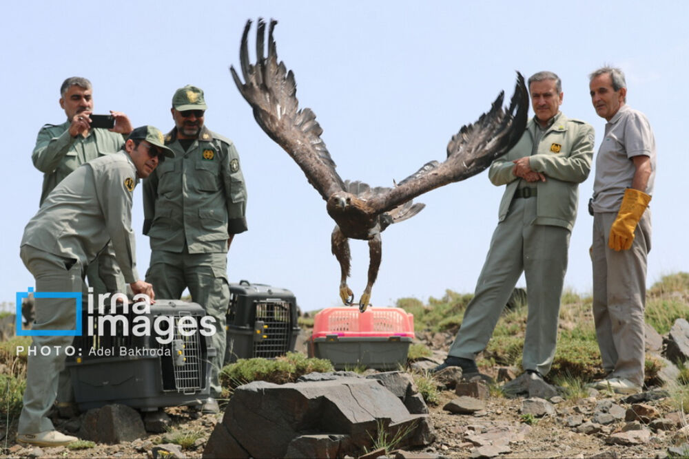 Mzc4YjQJT78G