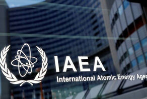 International Bodies Mired in Inaction and Complicity with Zionism