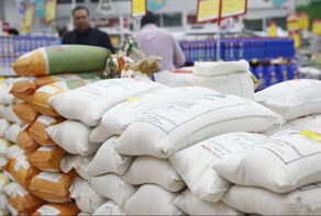 توزیع گسترده برنج وارداتی؛ کاهش قیمت در راه است