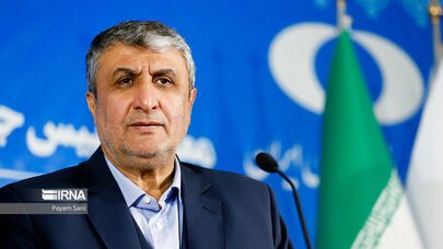 Nuclear chief says scientists will defend Iran’s nuclear capabilities and national interests