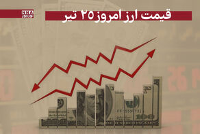 قیمت دلار و سایر ارز ها امروز چهارشنبه 25 تیر 1404