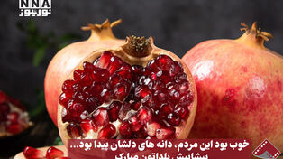 نورنما | خوب بود این مردم،دانه‌های دلشان پیدا بود...