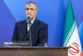 Tehran to not yield into any form of pressure: AEOI chief