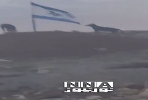 בבית לחם שבגדה המערבית, כלב מנסה להפיל את דגל ישראל.