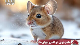 نورنما | ویدیوئی دیدنی از عکاسی حیات وحش