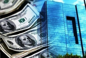 ضرورت اعلام برنامه‌های آتی اقتصادی دولت بعد از حذف ارز ترجیحی