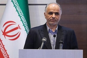 وزیر دادگستری: کسانی که به دست تروریست‌ها کشته شده‌اند شهید محسوب می‌شوند