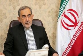 Iran ready to tackle any foreign threats: Velayati