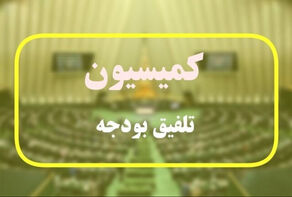 ارجاع بند وام ازدواج و فرزندآوری به کمیسیون تلفیق
