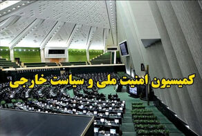 کمیسیون امنیت ملی: اطاعت از منتخب خبرگان واجب است