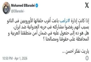البرادعی: ترامپ ما (اعراب) را رها می‌کند؟