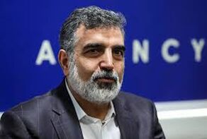 AEOI Cautions Neighbors on Consequences of Escalating Attacks on Nuclear Facilities
