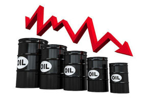 OPEC’s Free Fall: What’s Behind the Scenes?