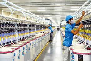 Why Are Major Countries Investing in Natural Fibers?