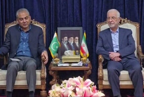نقوی در دیدار با مؤمنی: پاکستان به دنبال تسهیل گفتگوهاست