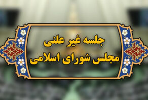 جزئیات جلسه غیرعلنی مجلس با وزیر تعاون با موضوع کالابرگ
