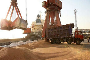 افت تولید گندم در جهان؛ کاهش 42 میلیون تنی در راه است