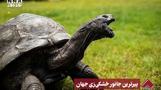 نورنما | پیرترین جانور خشکی زی جهان