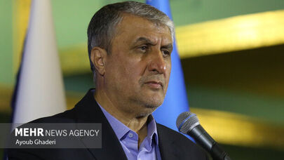Iran nuclear industry owes to martyred Leader’s instructions