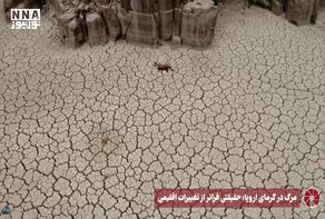 نورویدئو | مرگ در گرمای اروپا ؛ حقیقتی فراتر از تغییرات اقلیمی