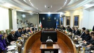 Iran, Armenia agreed to set up joint energy working group