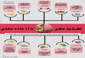 نوراینفو | تغذیه مغز با 11 ماده غذایی