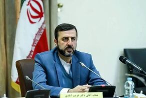 Wartime diplomacy necessary, must show no weakness: Iranian diplomat