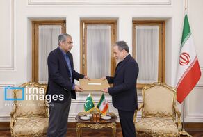 Pakistan’s Interior Minister leaves for Tehran for talks with Iranian officials