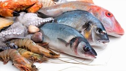 Official: 6,500 tons of aquatic products exported from Bushehr Province