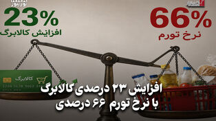 اقتصادنگار | افزایش 23 درصدی کالابرگ با نرخ تورم 66 درصدی