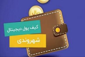 هشدار درباره شکست کیف پول شهروندی؛ یارانه‌ها و کالابرگ باید یکجا تجمیع شوند