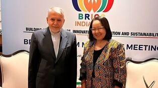 Salehi Amiri: South Africa can be Iran's gateway to the African tourism market
