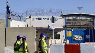 21 ימים של תקיפות נגד אסירות בכלא דמון