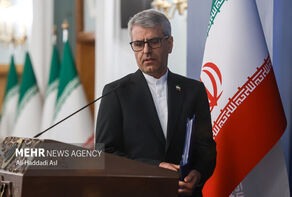 Lamerd symbol of resistance after US aggression: Iran FM spox