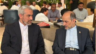 مدنی‌زاده به هند رسید؛ رایزنی اقتصادی ایران در بریکس