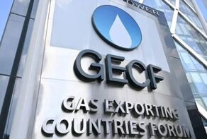 Iran’s active participation in GECF in line with strengthening multilateralism: Ambassador