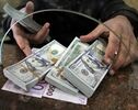 پیش‌بینی قیمت دلار دوشنبه ۶ مهر ۱۴۰۵؛ بازار در انتظار مشخص شدن مسیر مذاکرات