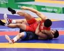 Abdevali bags Iran’s 12th gold medal in 2026 Asian Games