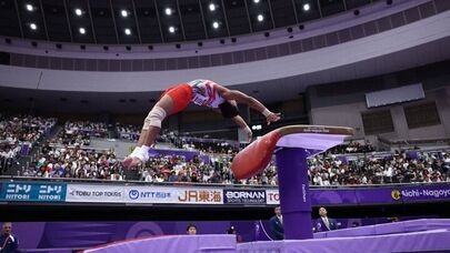 Iranian gymnast Olfati wins silver at 2026 Asian Games