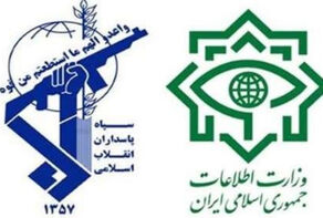 Specific features of Iran's intelligence and security system