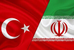 گفتگوی تلفنی روسای مجلس ایران و ترکیه حول سه محور کرونا، سوریه و هند
