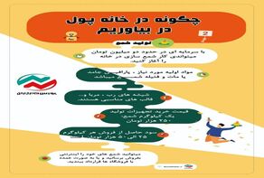 چگونه در خانه پول در بیاوریم؟